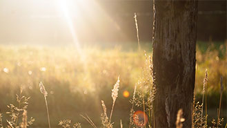 ddos在线攻击工具