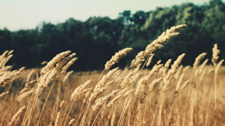 长期稳定的ddos攻击ip软件下载