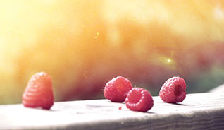 快速同步更新的在线网站攻击